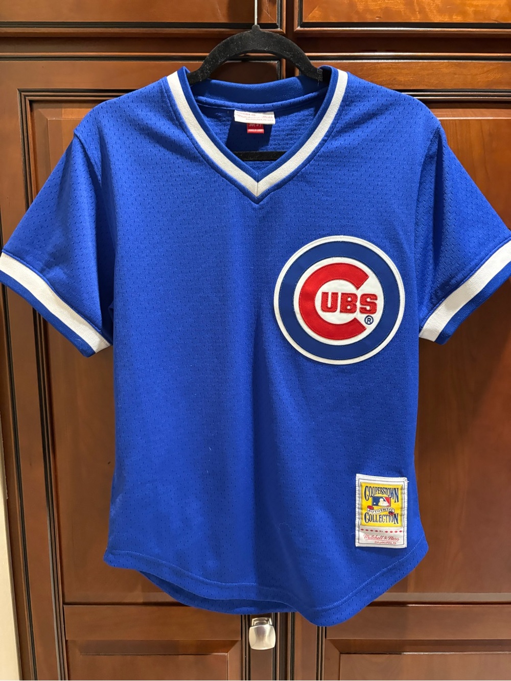 Ryan Sandberg Chicago Cubs Mitchell & Ness Cooperstown Collection Jersey Youth